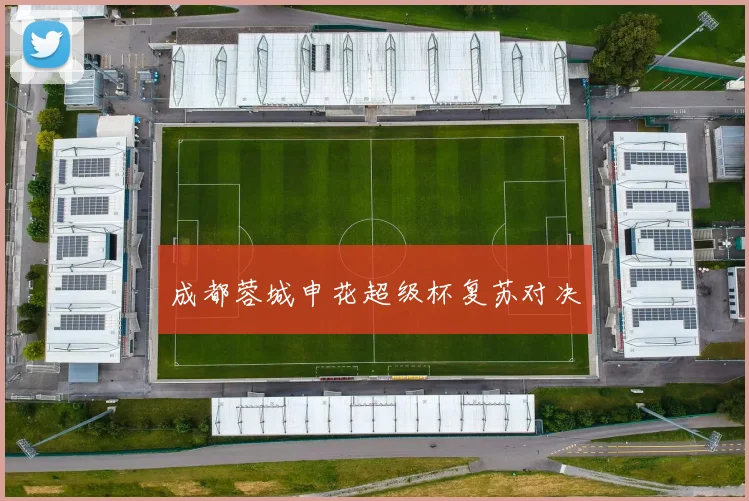 成都蓉城申花超级杯复苏对决