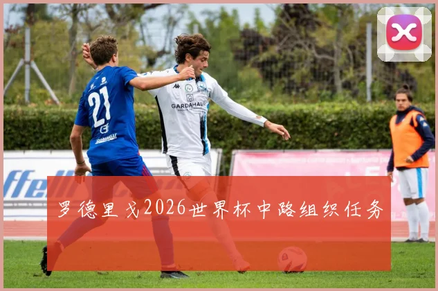 罗德里戈2026世界杯中路组织任务