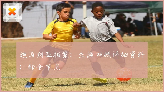 迪马利亚档案:生涯回顾详细资料:转会节点