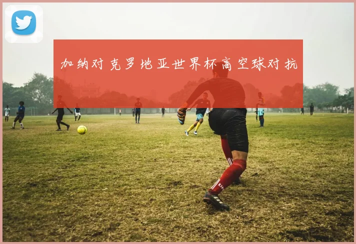 加纳对克罗地亚世界杯高空球对抗